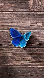 Butterfly windows wallpapers pc in both widescreen and 4:3 resolutions. 52 Butterfly Iphone Wallpapers Wallpaperboat