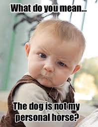 Babies can only mumble gibberish but when they act funny or cute, the experience is more than. 60 Funny Baby Memes That Ll Improve Your Mood Child Insider