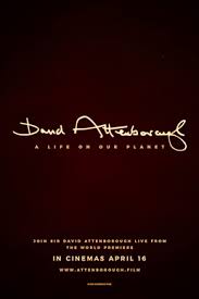 Mein leben auf unserem planeten stream release : David Attenborough A Life On Our Planet Wikipedia