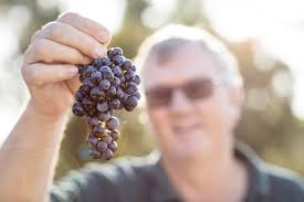 True Colours Sauvignon Blanc