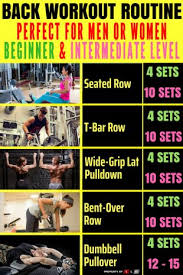 effective back workouts for beginners your lifestyle options