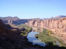 Image result for how animals change the course of river