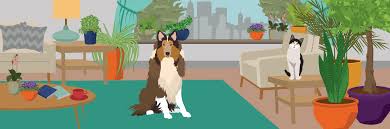 This plant's dripping tendrils were practically designed to attract cats. Houseplants Safe For Cats And Dogs Fix Com