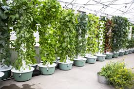Best Hydroponic Tower Vertical Hydroponic System On 2021