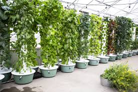 Our space is not as limited either so we really don't need aeroponic towers. Best Hydroponic Tower Vertical Hydroponic System On 2021
