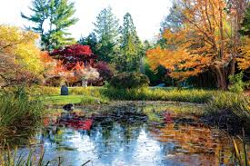We are a small nursery located in central new york, 18 miles southwest of syracuse. Go To The Hammond Stroll Garden In North Salem And Find Your Inner Zen