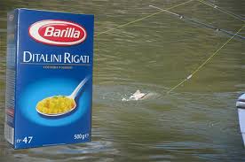 Daca decizi sa pescuiesti cu momeala vie 5. Arhive Momeala Pentru Caras Supermercato Blog