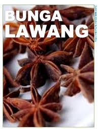 Bandar sunway, 2 oktober 2010. Bunga Lawang Inana