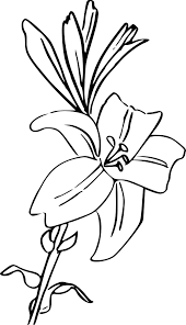 derniere dessin fleur de lys a imprimer the vegen princess coloriage gratuit foudre mcqueen