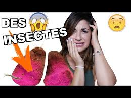 Je Coupe 3 Beauty Blenders Et Je Retrouve Wtf Youtube Today i even used it to apply dry powder bronzer over my still damp foundation and it blended promising review: beauty blenders et je retrouve wtf