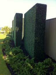 Ornamental grasses are best for privacy during the summer and autumn seasons, since most ornamental grasses reach their full lushness in the warm months. 26 Diy Garden Privacy Ideas That Are Affordable Incredible Balcony Garden Web