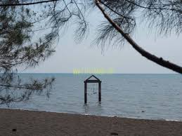 Informasi terbaru harga tiket masuk pantai gatra malang dan beberapa info menarik lainnya seperti fasilitas dan jalan menuju lokasi. Pantai Duta Probolinggo Hutan Cemara Dan Hutan Mangrove Sejuk Yang Bebas Dari Sampah Catatan Nobi