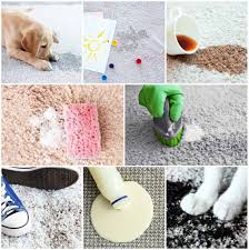 How To Get Stains Out Of Carpet 42 Different Types Of Stains Home Stratosphere