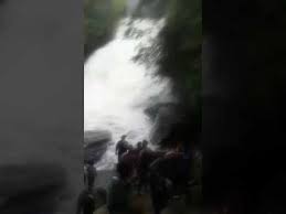 Последние твиты от cabeça d'água (@cabecadagua). Cabeca D Agua Atinge Cachoeira Do Parque Do Paredao No Sul De Mg Youtube