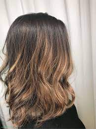 Honey Vs Caramel Highlights Agreeable Fashion Light Brown Blonde Hair Latest Light Honey Brown Hair Ga Hair Color Light Brown Balayage Hair Short Hair Balayage