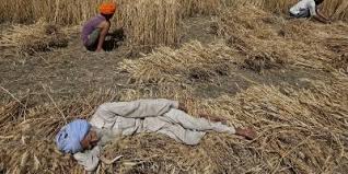 This will cost somewhere between $20,000 and $120,000, depending on where he/she goes and what scholarships are available. It S Time To Make Punjab Agriculture Great Again But How To Do So