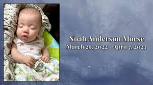 Noah Anderson Morse