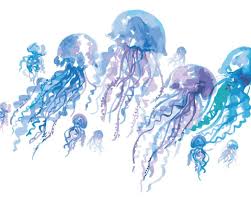 Her watercolor illustrations are not only depicting the poetic and stunning aspect of the ocean, but also the fascinating creatures that live within it: Under The Sea Watercolor Painting Frederick County Ymca
