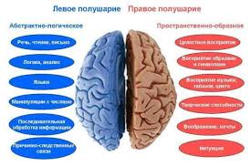 Levoe Polusharie Mozga Otvechaet Za Chto Kak Razvit Levoe Polusharie Mozga Medicinskij Centr Po Ul Leninskaya 14 V G Mozyre