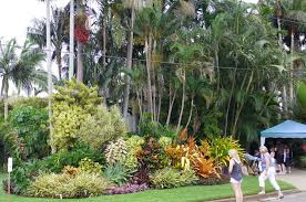 Front Garden Street Frontage Tropical Garden Tropical Landscaping Tropical Garden Design