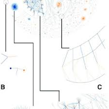 Note from towards data science's editors more serious technically minded traders will also want to use python for data analysis and back testing trading the code above shows how to use the websockets package to connect to the bitmex api to receive price updates in python. Pdf Visualizing Dynamic Bitcoin Transaction Patterns