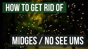 In this article we'll discuss 7 ways of how to get rid of midges. How To Get Rid Of Midges Biting Midges No See Ums Youtube