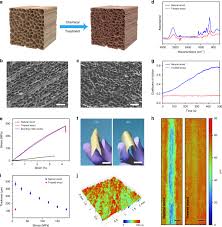 Anver corporation contact this company. Flexible And Durable Wood Based Triboelectric Nanogenerators For Self Powered Sensing In Athletic Big Data Analytics Nature Communications