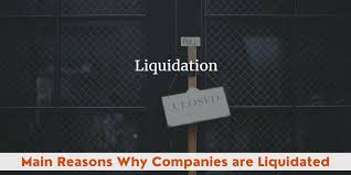 Reasons Behind Company Liquidation In Dubai Business Liquidation Reasons Dubai Uae Rizmona In 2020 Business Support Company Reasons