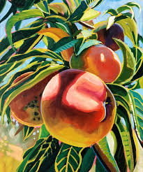 Elgin Peach Tree Sari Not Sorry Art From Sari Shryack In 2020 Art Peach Art Art Painting