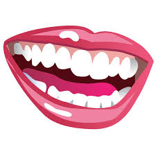 Mouth Png Transparent Background Free Download 14312 Freeiconspng Search more hd transparent mouth image on kindpng. mouth png transparent background free
