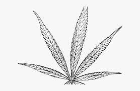 Drawn Weed Tobacco Leaf - Weed Leaf Drawing Png, Transparent Png ,  Transparent Png Image - Pngitem