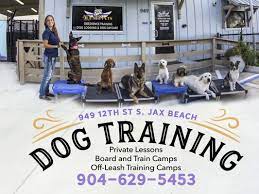 Beaches Jet Set Pets Pet Training 949 12th Ave S Beaches Jacksonville Beach Fl Phone Number Yelp