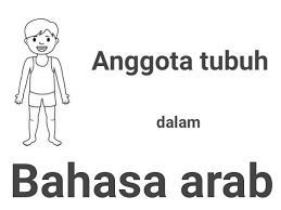 Bahasa arab bagian kepala dan wajah. 35 Anggota Tubuh Dalam Bahasa Arab Arobiyah Institute