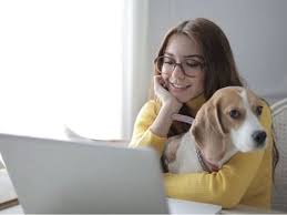 Get a pet prescription online through a reputable pet pharmacy, like the chewy pharmacy, after visiting your vet for an exam. Uae Own A Pet Or Planning On Getting One Here S How Much It Costs And How To Plan Your Finances Yourmoney Community Tips Gulf News