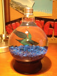 How To Create A Lightbulb Fish Tank Light Bulb Aquarium Light Bulb Crafts Light Bulb Fish