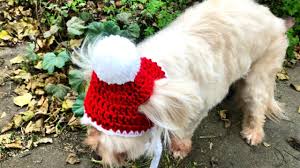 Crochet world is getting bigger and bigger day by day, and the crochet mandalas are a new rage there, so if you have not tried your hands on a mandala, this lovely and cute crochet mandala pattern is the right thing to opt for. Dog And Cat Santa Crochet Beanie Youtube