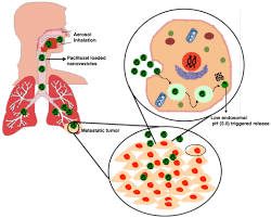 Image result for Pulmonary Intoxicant