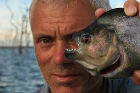 33+ neu vorrat haus kaufen hornberg : Fluss Monster Staffel 4 Episodenguide Fernsehserien De