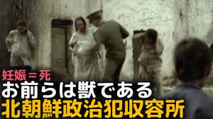 北朝鮮、女性が獣として扱われてしまう『北朝鮮政治犯収容所』 - YouTube