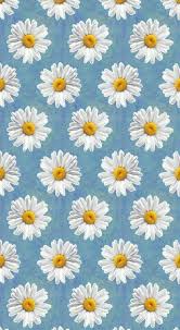 Pin By Zosia On Wallpapers Daisy Wallpaper Emoji Wallpaper Pretty Wallpapers