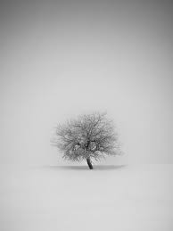 50 Minimalist Ipad Wallpapers On Wallpapersafari Ipad wallpaper minimalist flowers ipad wallpaper. 50 minimalist ipad wallpapers on