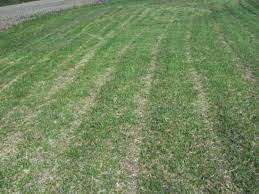 Craftsman Riding Lawn Mower Cutting Uneven Doityourself Com Community Forums