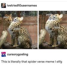 Marvel Memes 55 Marvel Memes Marvel Avengers Marvel Superheroes