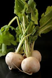 Serie Noire White Turnips White Turnip Fresh Vegetables Turnip