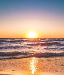 Patricia S. Wold Obituary February 23, 2022