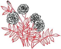 28 collection of day the marigolds drawing marigold. How To Draw A Marigold Howstuffworks