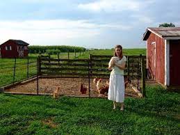One of the most dreaded, yet very necessary, jobs on a homestead. Small Vs Large No Wrong Way To Homestead Youtube