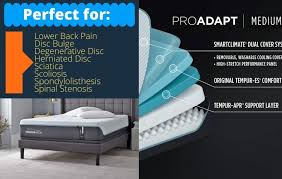 5 Best Tempurpedic Mattresses For Back Pain Mattress Insight