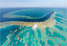 A stunning sunrise from the #greatbarrierreef , #australia video sent to us from reef encounter. 21 Great Barrier Reef Ideen Great Barrier Reef Queensland Ostkuste Australien