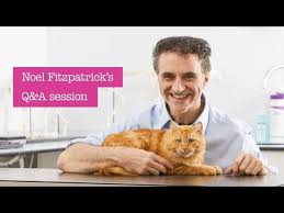 Noel set up fitzpatrick referrals in 2005, which is a million pound state of the art clinic. Petplan And Supervet Noel Fitzpatrick Q A Youtube